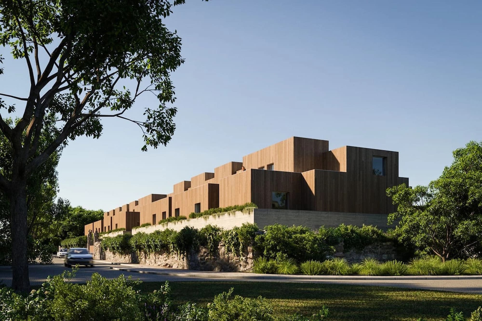 portfolio | Camélias