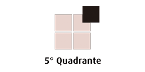 5 quadrante